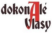 dokonale vlasy logo