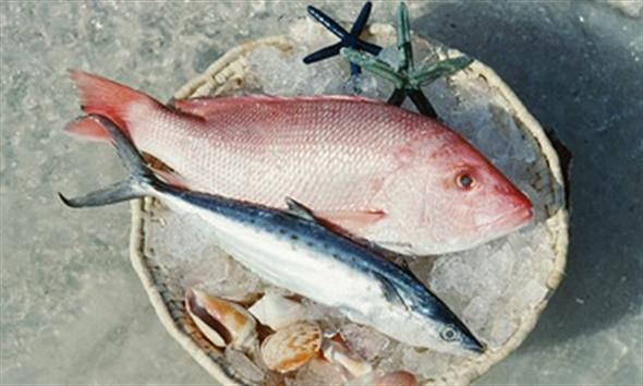 Pozitivní účinky ryb závisí na jejich přípravě