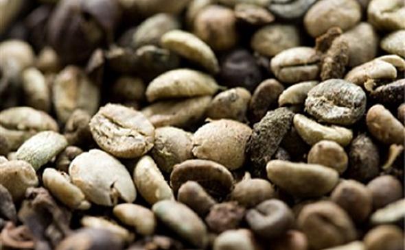 Káva může být lékem na Alzheimera