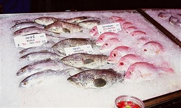 Rybí tuk zabraňuje poškození DNA